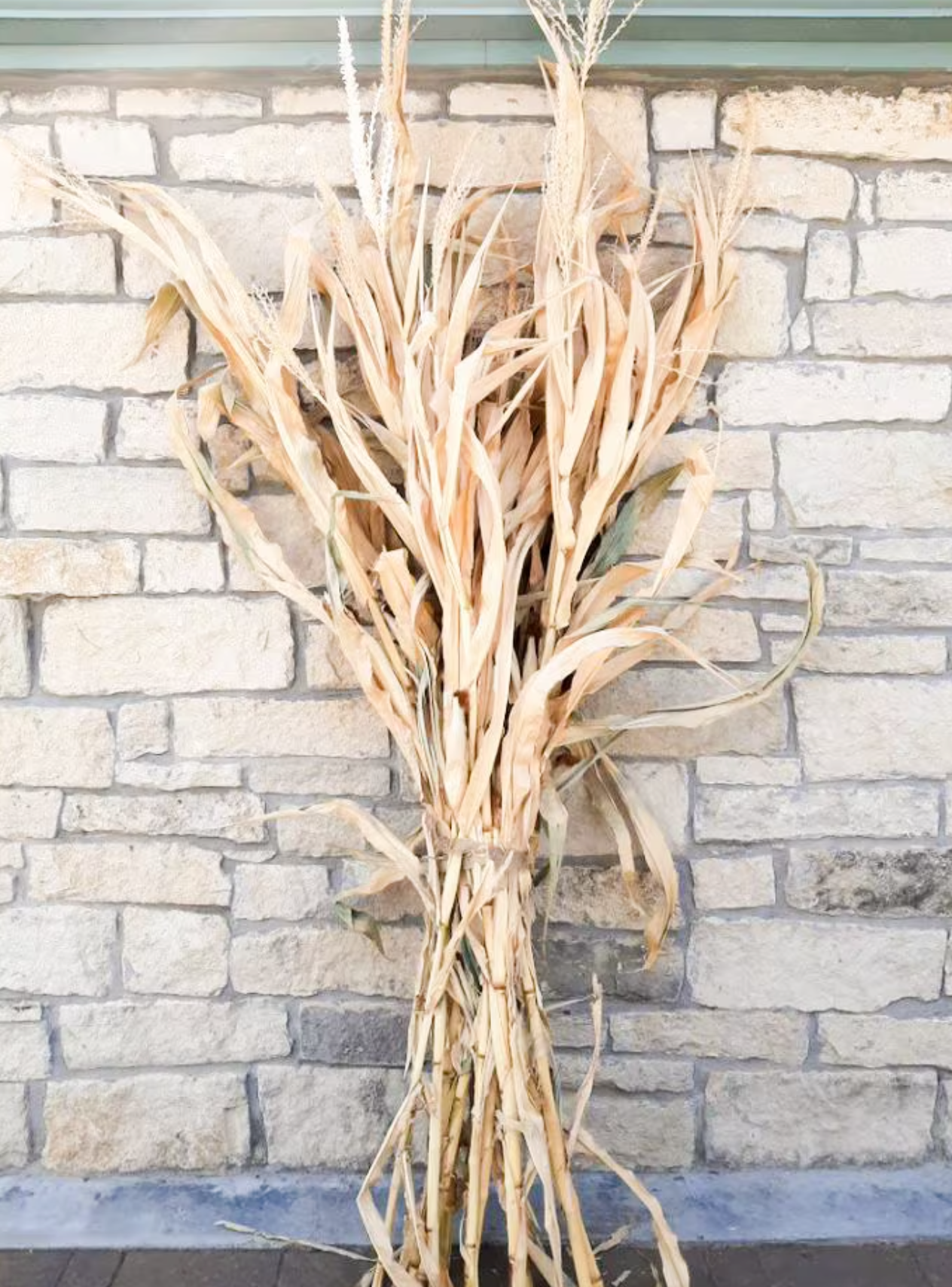 Load image into Gallery viewer, Corn Stalk
