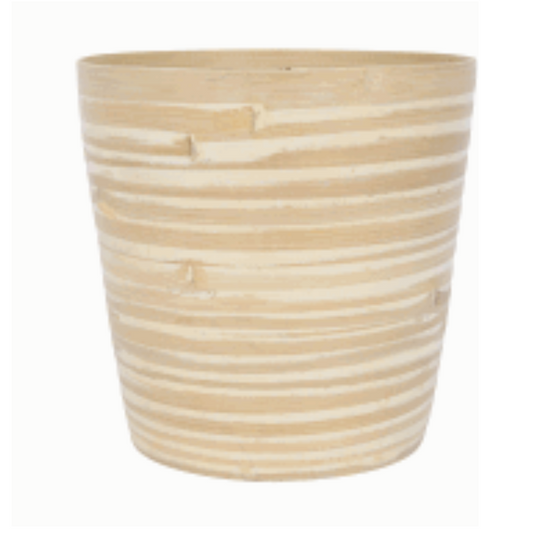 Fargesia Wood Planter 8"