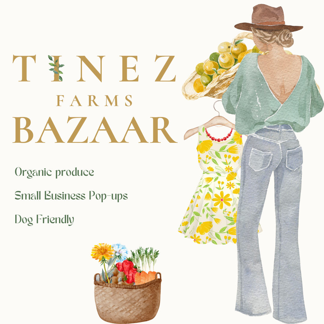 Tinez Bazaar
